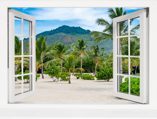 istock Beach scene with palm trees and a blue ocean 2194029796