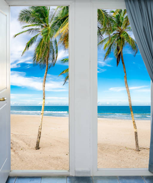 istock Beach scene with palm trees and a blue ocean 2194029805
