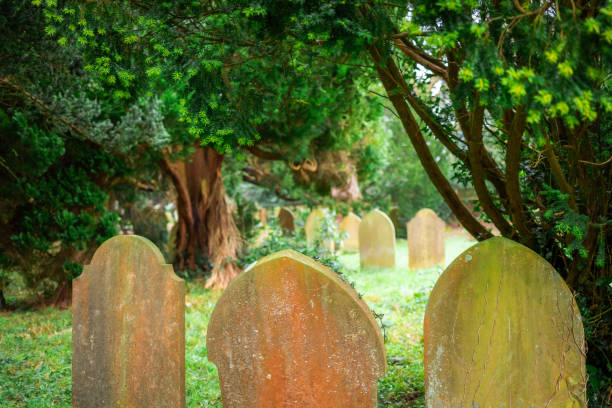 Three old and weathered headstones in a row in the cemetery.