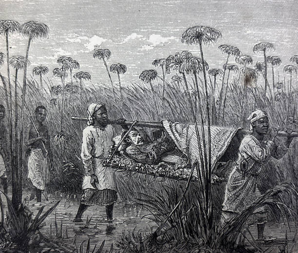 Antique illustration pre 1900 - black African men carrying David Livingstone through fields