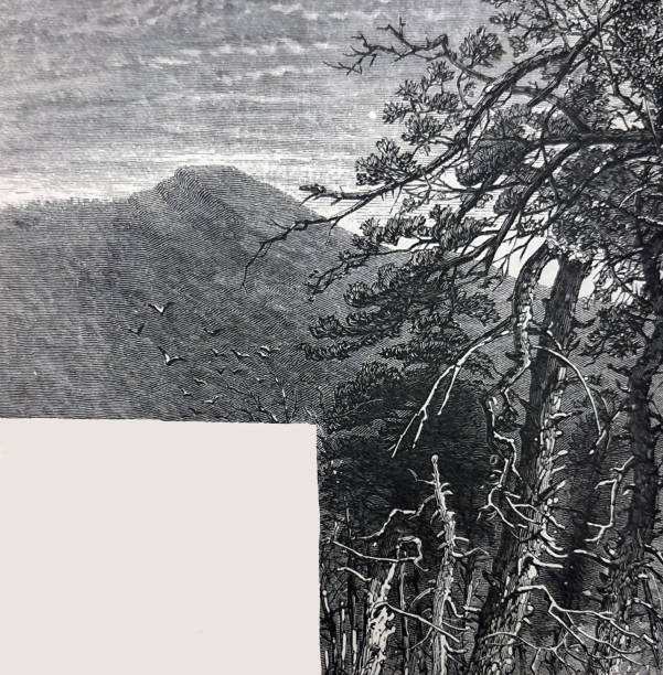 istock Antique illustration - Hawk's Bill Mountain - North Carolina 2194033553
