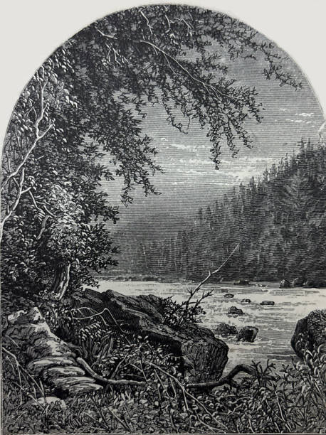 Antique illustration pre 1900 scenic river bank tree area and rocks