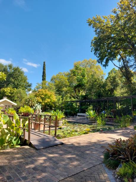 View of a bridge in a botanical garden