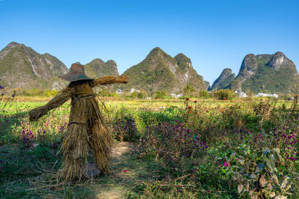 Scarecrow and the beautiful and dramatic scenery of the Yulonghe Scenic Area of Yangshuo County, Guilin, Guangxi, China.
