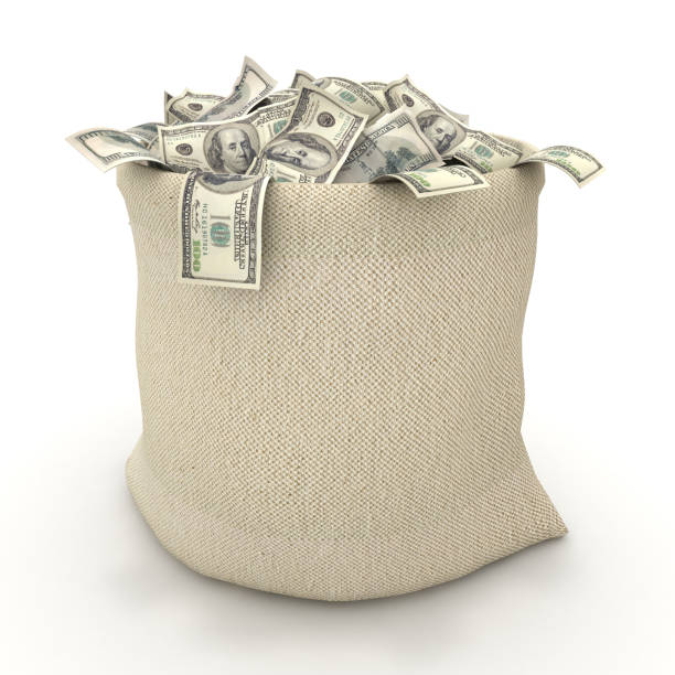 Money bag sack USA currency dollar