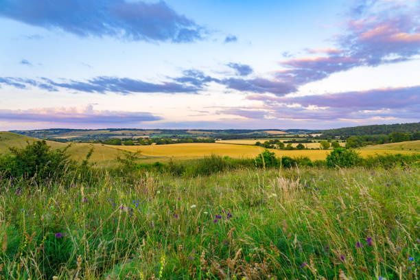 istock Evening light illuminating the cotswolds countryside in england 2194043732
