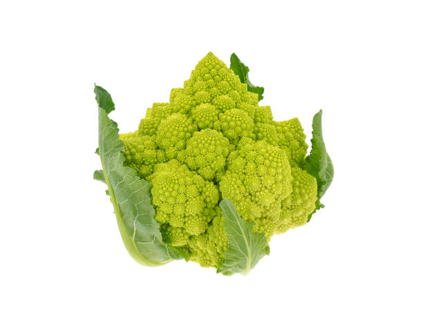 istock Romanesco broccoli isolated on white background, Brassica oleracea 2194047773