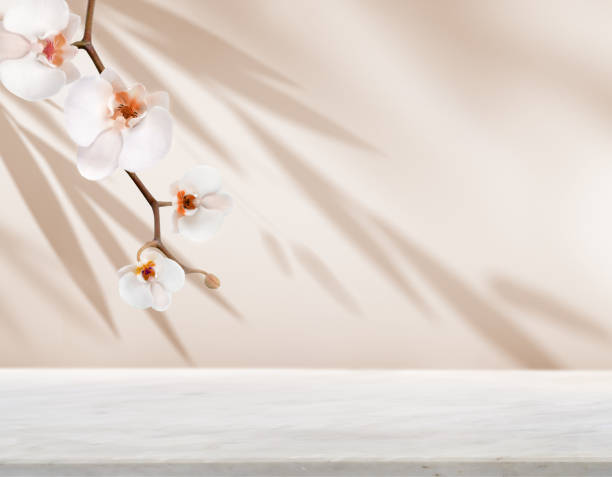 An Elegant Orchid Arrangement and marble table, perfect for calming visuals product display