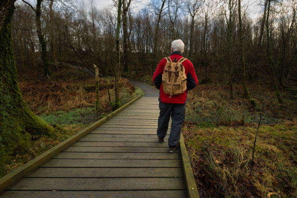 Retired man walking on a boardwalk on an overcast winter morning in rural Scotland
