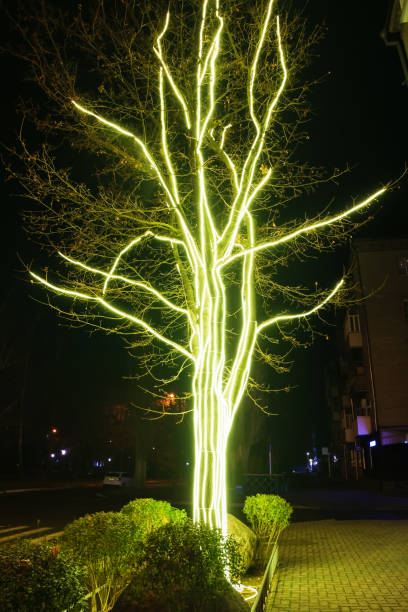 istock Glowing lines on the trunk and branches of a tree. Bright garlands on a tree 2194056346