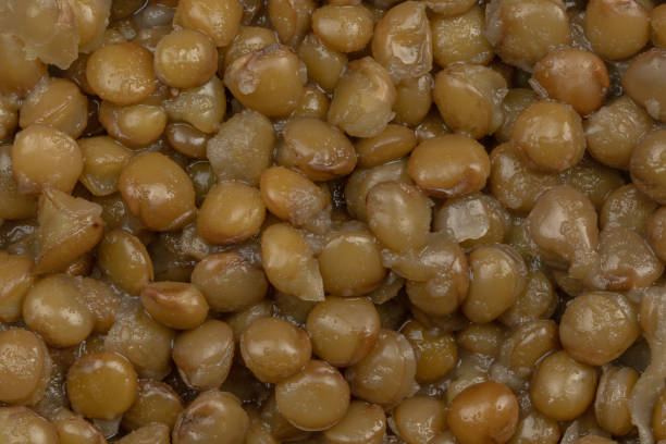 istock plate of cooked lentils, close-up 2194057866