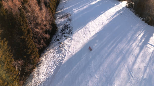 istock Solo Skier on a Snow-Covered Slope Surrounded by Forest 2194061222
