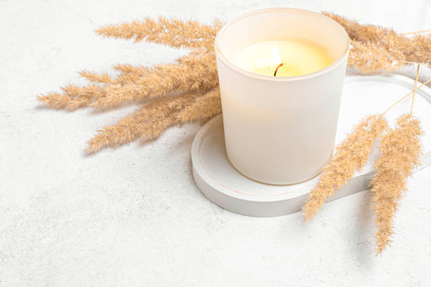 istock Burning scented candle and dry reeds grass 2194061966
