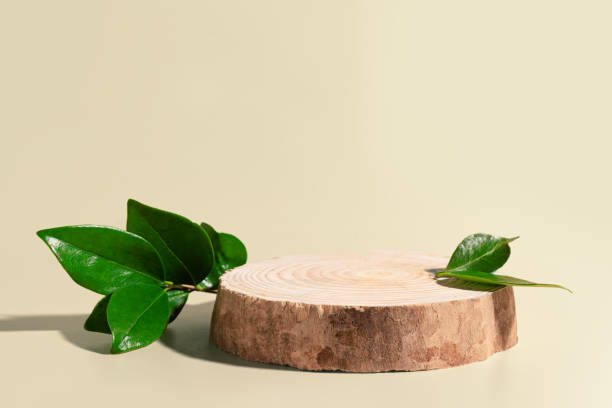 istock Wood podium platform with green leaves 2194063269
