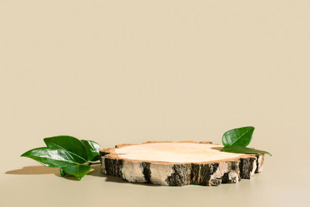 istock Wood podium with green leaves 2194063270