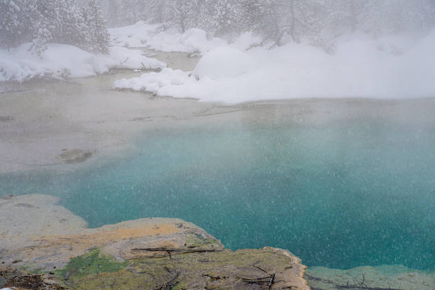 A crystal-clear thermal lagoon stands out amidst snow-covered trees, shrouded in a misty and magical atmosphere. Nature offers a stunning contrast between the warmth of the springs and the winter chill