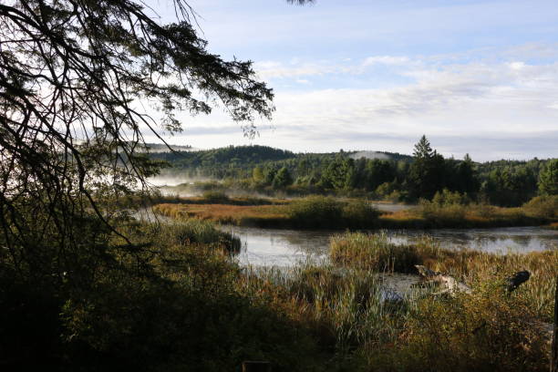 istock Beautiful natural landscape in the dawn 2194065724