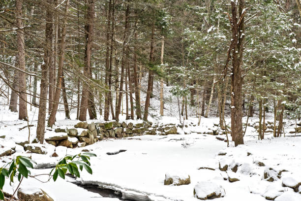 trap falls brook frozen over and covered  by snow  is located in willad brook state forest in ashby massachusetts