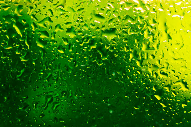 Green background with water drops for mobile phone and computer screensavers.