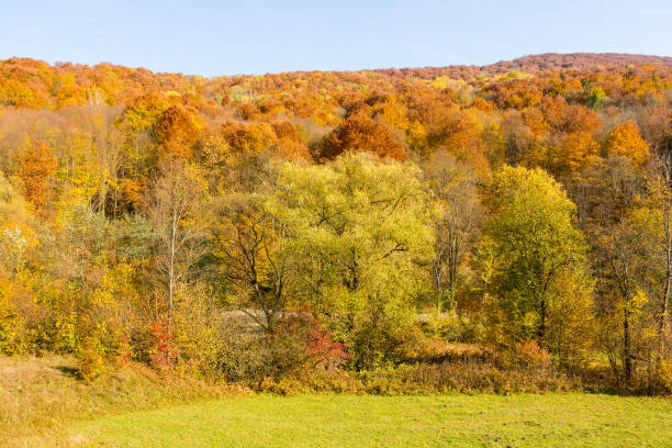 istock mountainous countryside scenery in autumn 2194067616