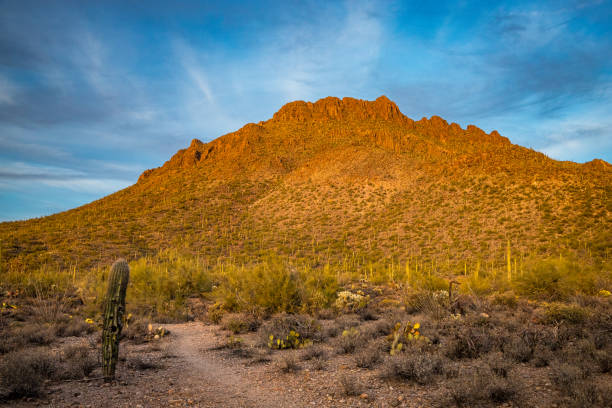 istock Majestic sunset at Tucson Mountain Park 2194069074
