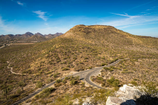 Explore the breathtaking landscape of Tucson's Sentinel Peak, featuring picturesque mountains and iconic Saguaro cacti under a clear blue sky.