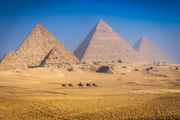 Bedouins riding on camels, pyramids on the background, Giza, Egypt.