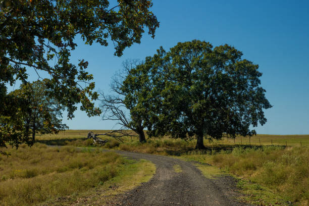istock Dirt road leading to an old Cemetery in Sequoyah County, Oklahoma 2194070694