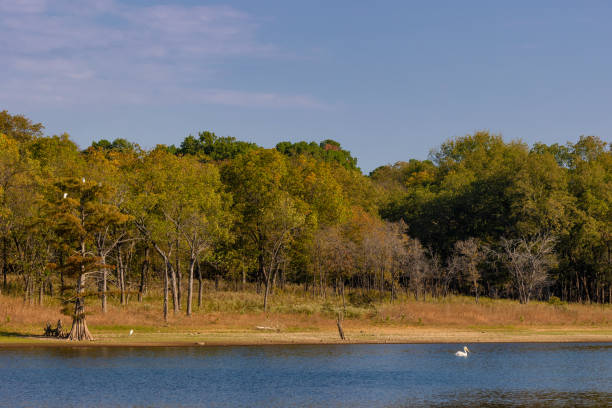 istock Sequoyah State Park, Hulbert, Oklahoma, USA 2194070765