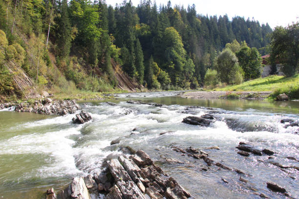 In the Carpathians, in Ukraine, the mountain river Prut flows