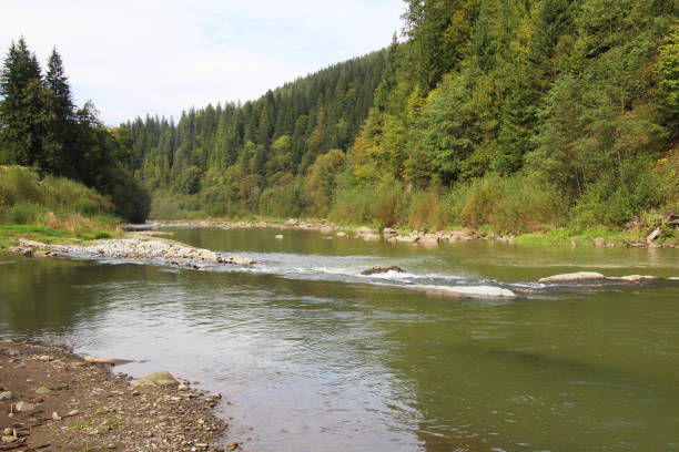 istock In Ukraine, in the Carpathians, the mountain river Prut flows. 2194071330