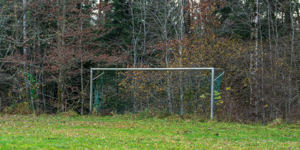 istock Soccer goal on an abandoned field in the forest.. 2194074513