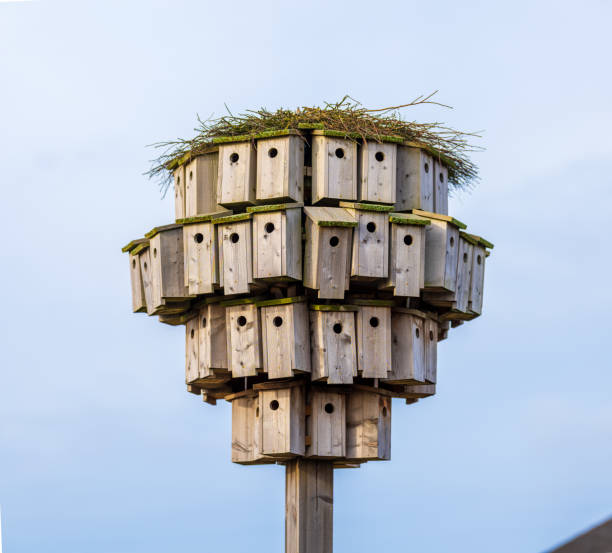 Creative installation of many bird houses on a pole.