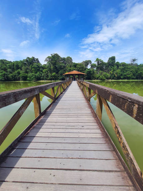 istock Wooden walkway over lake 2194074990