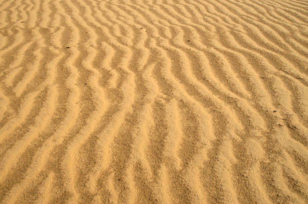 Sand in desert after rain close up