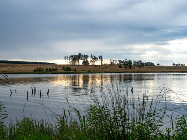 istock Ripples in lake at sunset with moody sky 2194077450