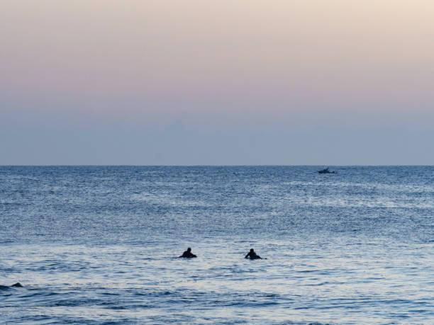 istock Surfers in silhouette, early morning light waiting for waves 2194077465