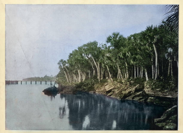 View on the Indian River, Florida, USA, 1890s vintage photograph 19th Century