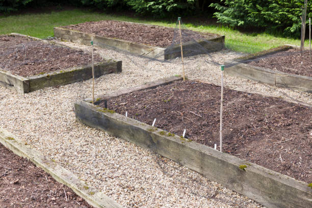 istock Empty raised vegetable beds in spring, UK vegetable garden 2194083682
