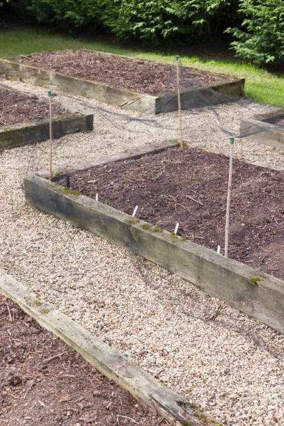istock Empty raised vegetable beds in spring, UK vegetable garden 2194083683