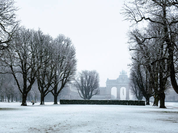 istock Tranquil winter scene at Parc du Cinquantenaire in Brussels, Belgium. 2194084461
