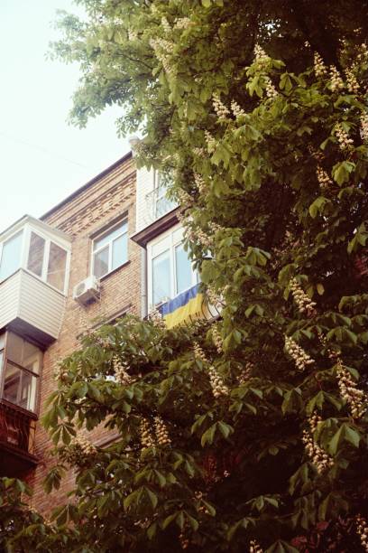istock Spring Chestnut Blossoms in Odesa with Ukrainian Flag 2194084507