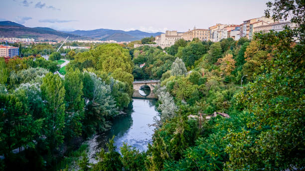 istock Landscape with vegetation and a river with an old bridge 2194084706