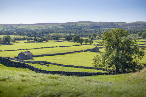 istock Fields with stone barns in Wharfedale, Yorkshire Dales, UK 2194085120