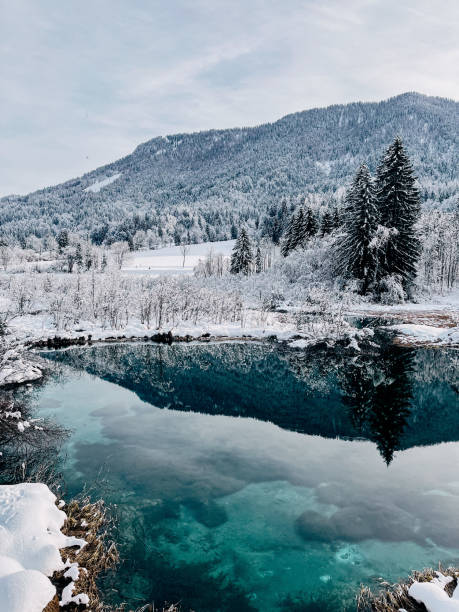 istock Tranquility by the Frozen Shore 2194087570