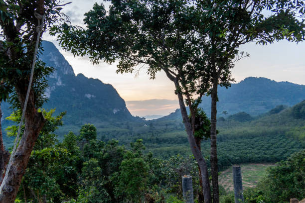 istock beautiful landscape in southern thailand 2194102335