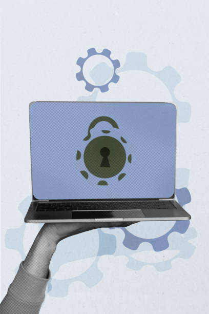 istock Vertical photo collage of hand hold laptop locked password control access hacking protection gears isolated on painted background 2194103824