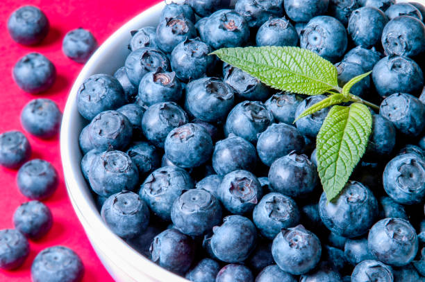 Blueberry antioxidant organic superfood in a bowl on a table concept for healthy eating and nutrition