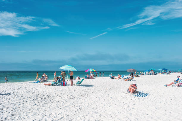 Woman picking shells on the beach