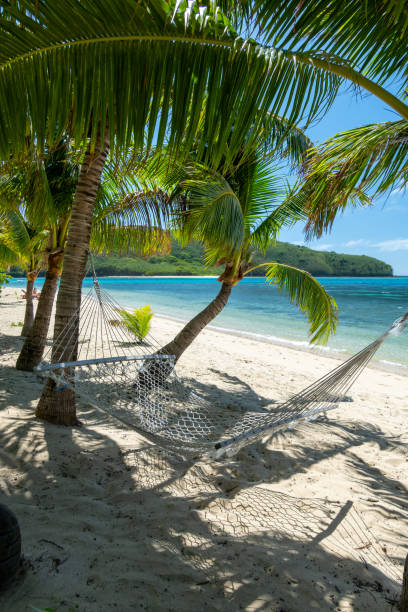 istock A hammock hangs between two coconut trees on a tropical island beach in the shade, with blue water and a coral reef in the distance. 2194116758